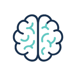 brain